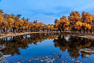 《野狗子》开发商将发布新视频 为生化寂静岭粉丝带来惊喜